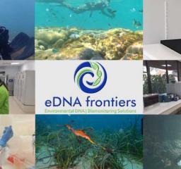 eDNA_frontiers_thumbnail