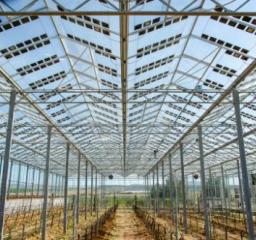 greenhouse, dual use of land, semi-transparent solar glass, photovoltaics