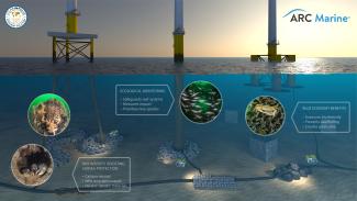 Overview of Offshore Wind Marine Habitat Options