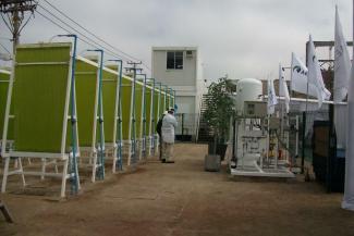 photobioreactor microalgae 