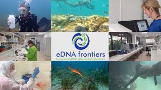eDNA_Drontiers_Logo