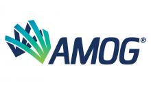 AMOG_Consulting_logo