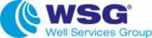 WSG Industrial Services B.V._logo