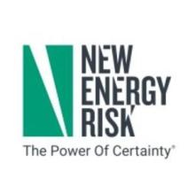 New Energy Risk_logo