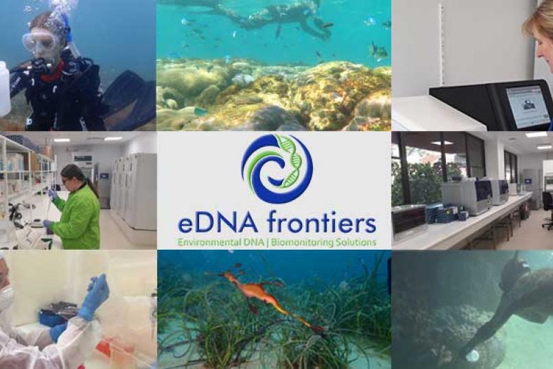 eDNA_Drontiers_Logo