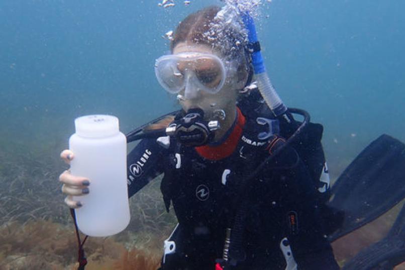 eDNA_frontiers_Researcher_underwater_environment_Collecting_Sample